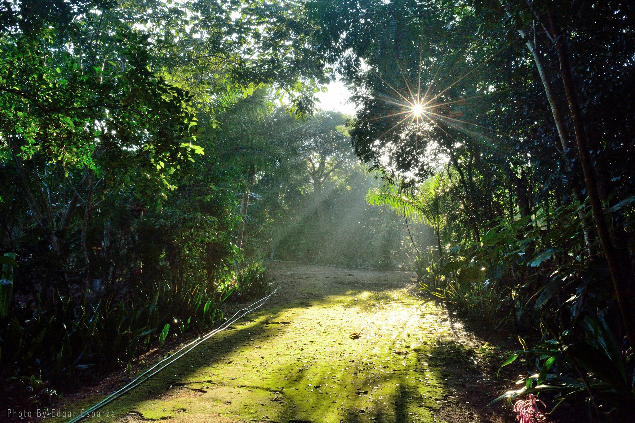 Santuario Jardines del Colibrí Dorado - Rancho Ya'ax Dzonot